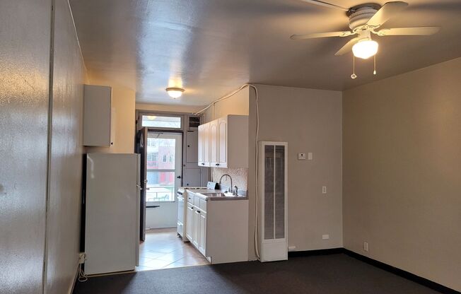 Studio, 1 bath, $795, Unit 110