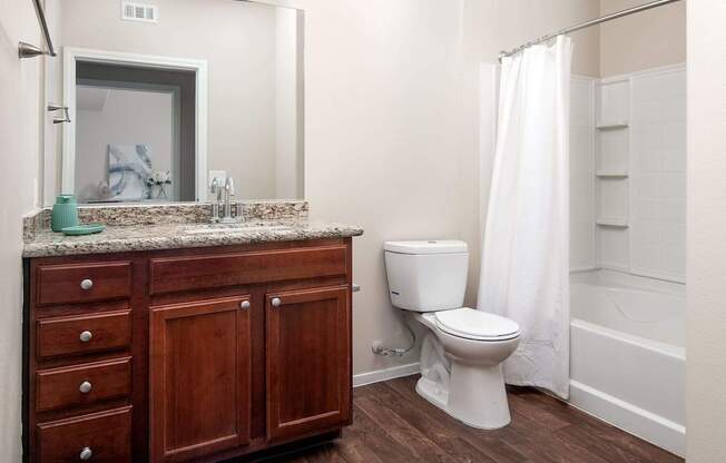 a bathroom with a toilet and a sink and a mirror