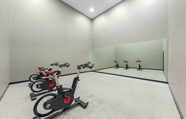 A room with a row of stationary bikes.