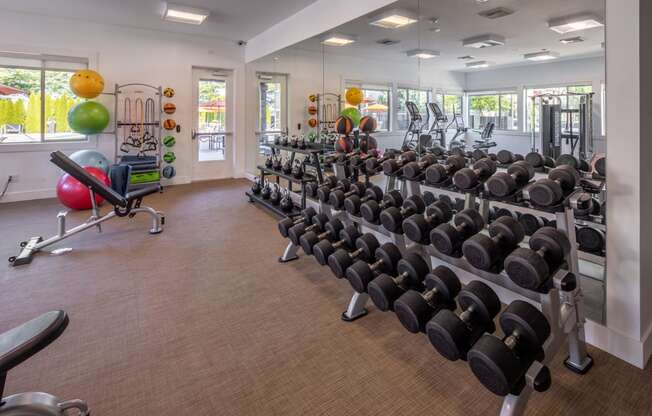 the gym at the preserve at polo towers has weights and other exercise equipment
