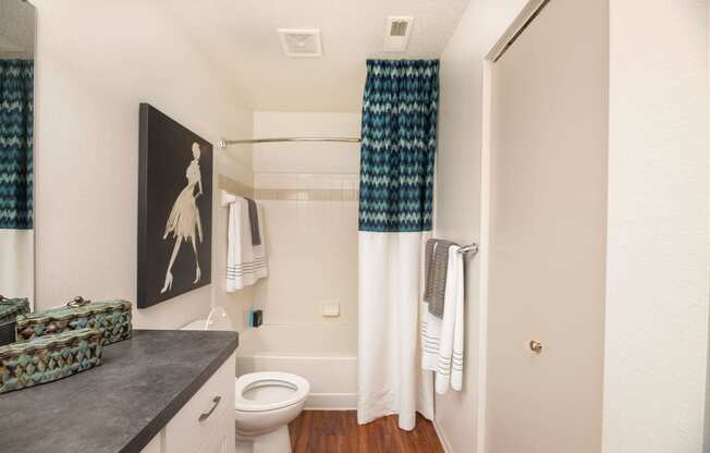bathroom in two bedroom two bath apartment