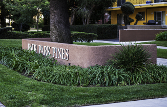Fair Park Pines
