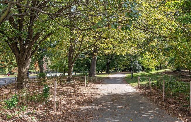210 PROSPECT PARK W
