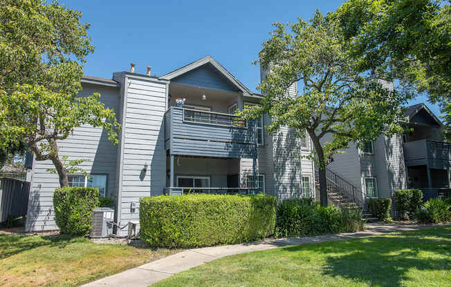 A grey apartment building with a tree in front at Rocklin Gold Apartments, California, 95677