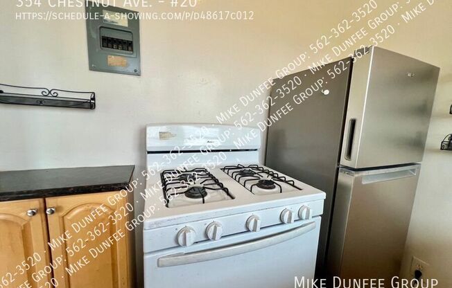 354 Chestnut Ave #17
