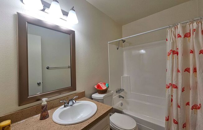 1 bed, 1 bath, 650 sqft, $1,845, Unit 093