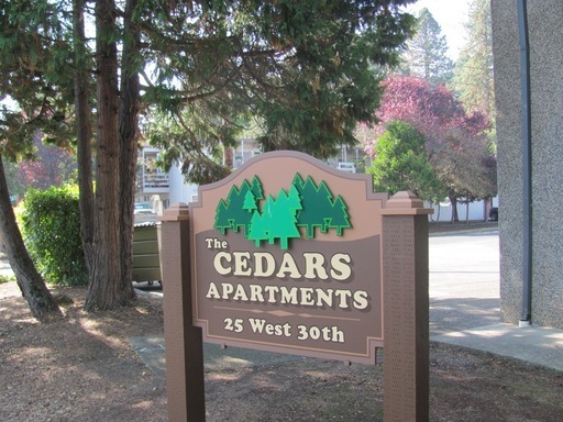 cedars