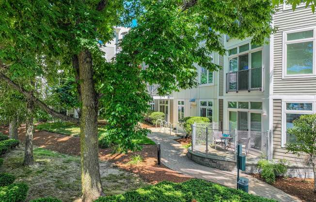 Lush greenery throughout the property at 7 Cameron Apartments, Cambridge, MA