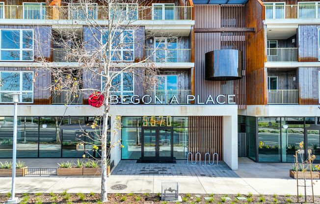 Begonia Place