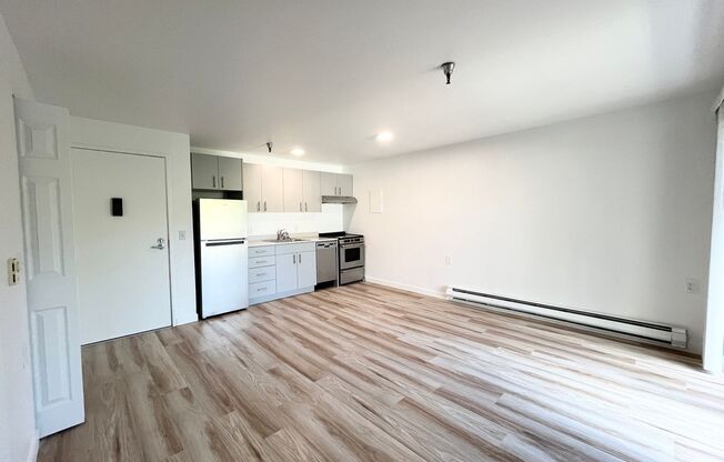 1 bed, 1 bath, 480 sqft, $1,495, Unit 204