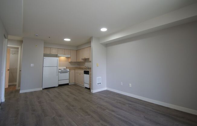 Studio, 1 bath, 413 sqft, $1,150, Unit 402