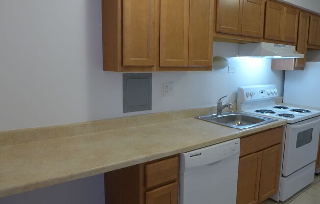 Studio, 1 bath, 450 sqft, $1,295, Unit 307