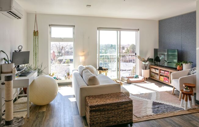 The Franz - Residential