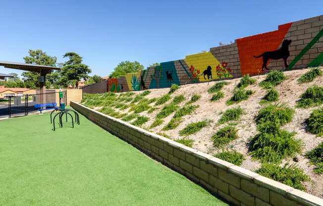 a garden with grass and a wall with graffiti on it