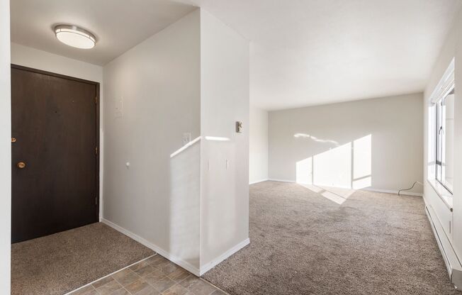 Studio, 1 bath, 410 sqft, $1,290, Unit 302