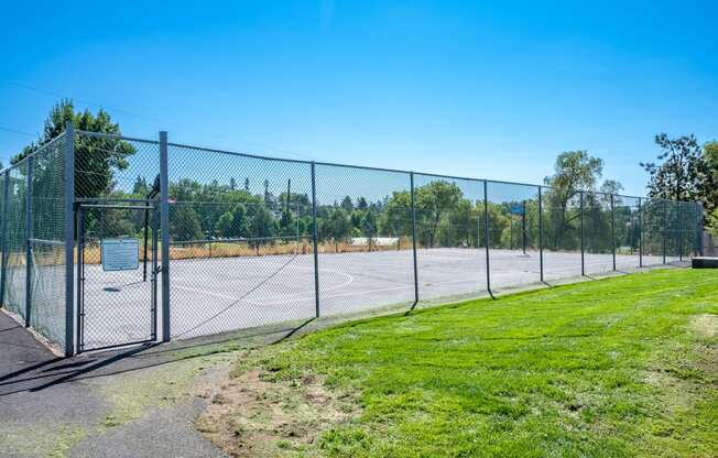 The Bluffs Basketball Court