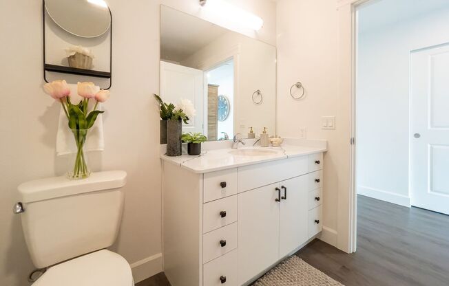 Studio, 1 bath, 346 sqft, $1,595, Unit 410-511