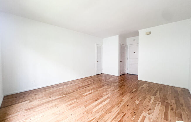 Studio, 1 bath, $1,750, Unit 37C