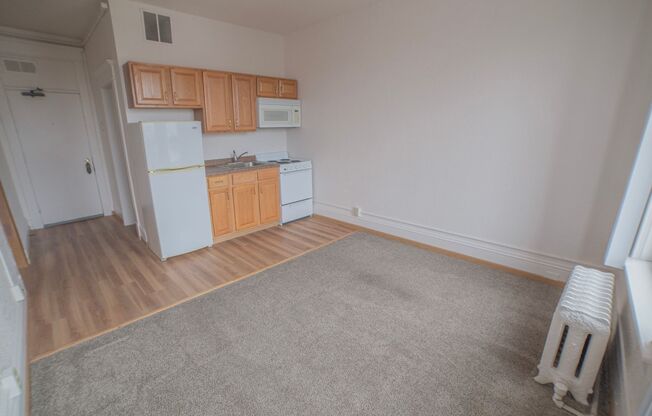 1 bed, 1 bath, 385 sqft, $575, Unit 501