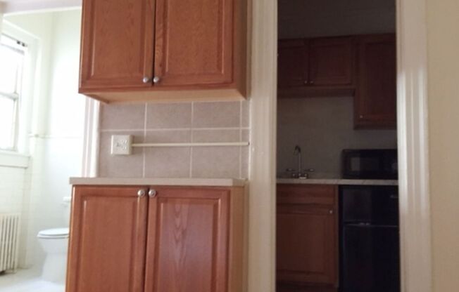 Studio, 1 bath, 240 sqft, $1,050, Unit 107A