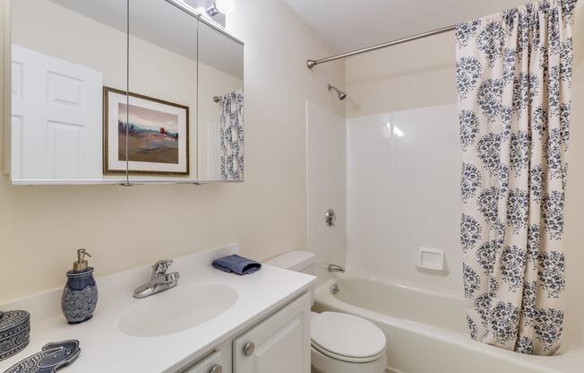 Spacious Bathrooms with Ample Storage at Windsor Ridge at Westborough, Massachusetts, 01581