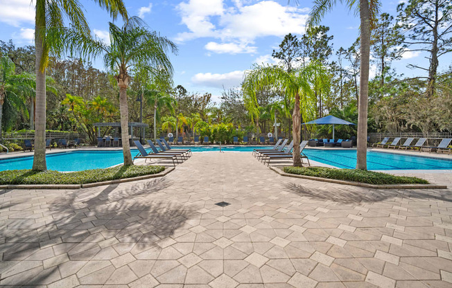 A large swimming pool surrounded by palm trees and a stone patio.