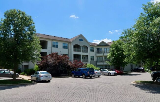 Cozy Studio Apartment in Vibrant Wedgewood-Houston Neighborhood