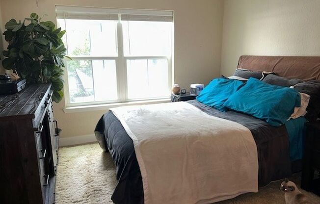 Downtown stunner! one bed one bath in the Grande downtown available end of June