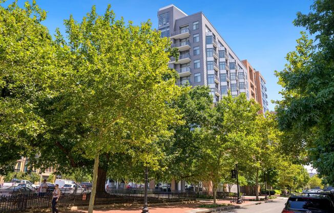 Professionally Managed High End // 1 Bedroom 1 Bathroom in Amenity Rich Condo // Mt. Vernon Square