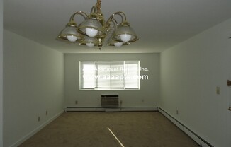 311 WASHINGTON AVE