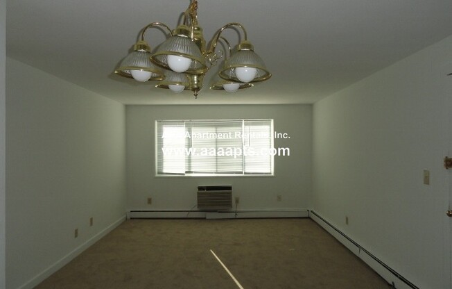 311 WASHINGTON AVE