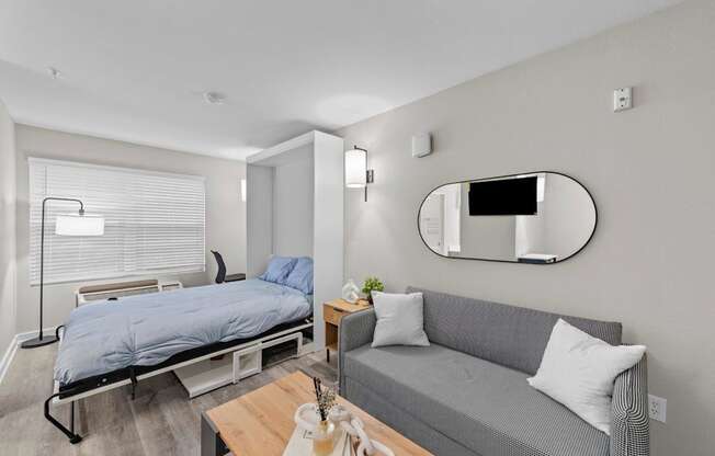 Studio Domain Apartments in Austin, Texas Model Studio