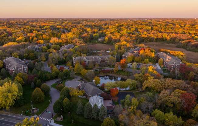 Regency Woods in the Fall