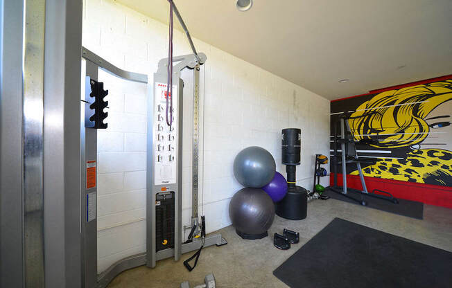 Mar Vista Lofts - Fitness Center