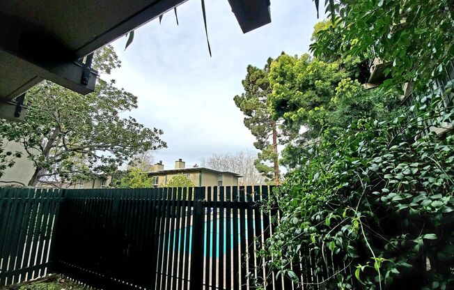 1 bed, 1 bath, $2,700