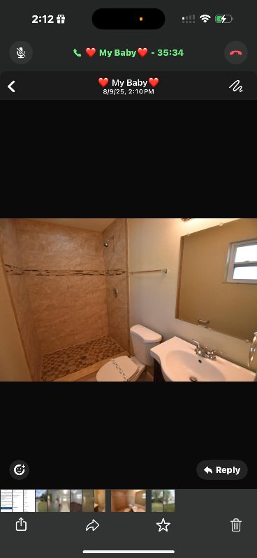 1315 VIBURNUM LN