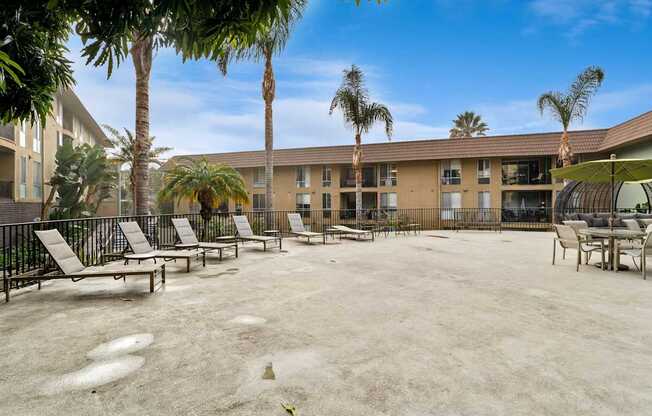A sunny day at the resort with palm trees and lounge chairs.