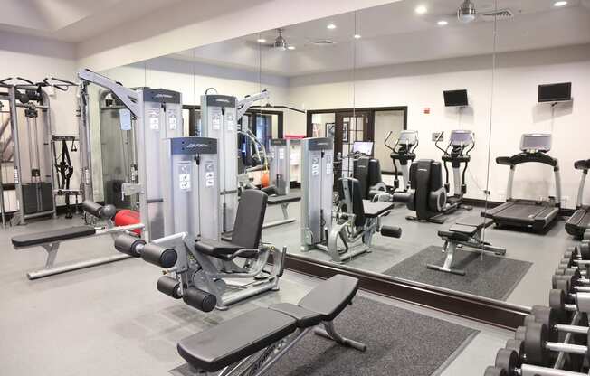 New Fitness W Peleton