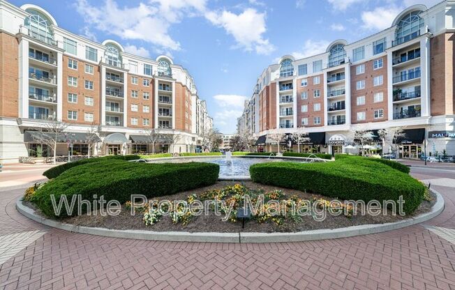 4625 Piedmont Row Dr