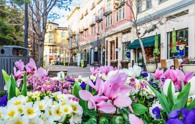 Boutique Shopping and Fine Dining near Pavona Apartments, San Jose, 95112