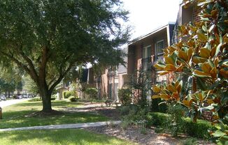 LEASE TERMS NEGOTIABLE  Summit House, Walk to Shands, UF, VA!