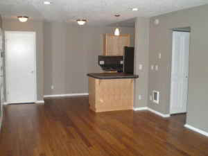 2 beds, 1 bath, 800 sqft, $1,649, Unit 536