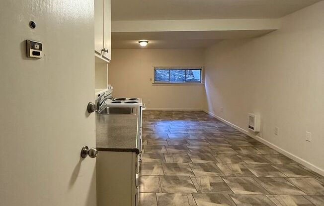 Studio, 1 bath, 400 sqft, $1,200, Unit A