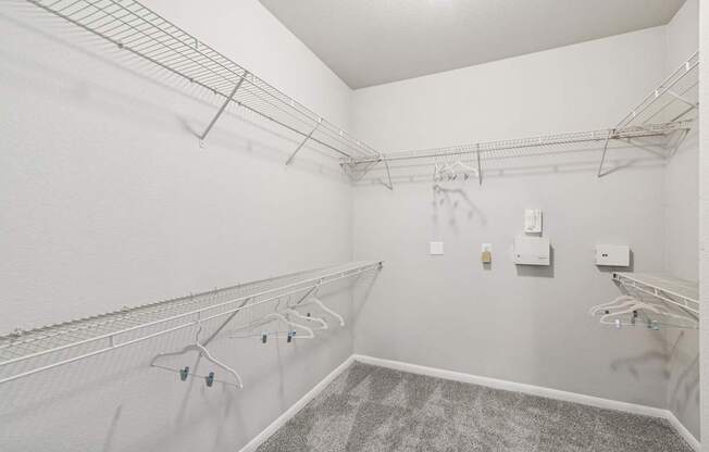 A white laundry room with a carpeted floor and a metal drying rack.