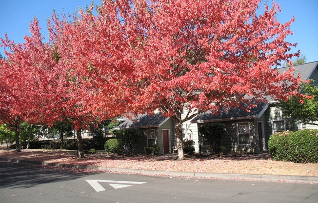 RIPPLINGBROOK TERRACE