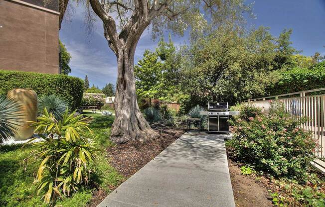 Outdoor plants and trees at The Luxe, California