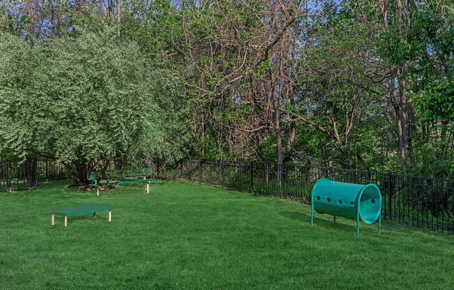 A grassy outdoor space featuring a green agility tunnel, a low elevated platform for training, and a bench under a leafy tree. The area is enclosed by a black metal fence, with trees and foliage in the background.