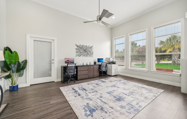 a living room with a large rug and a desk with a window