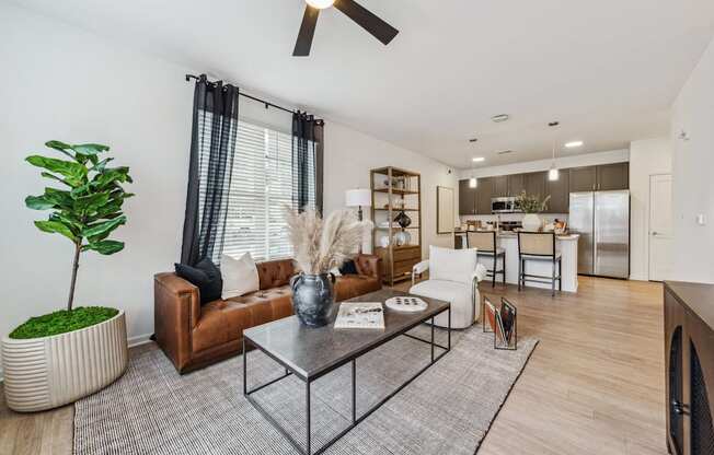 BRAND NEW MODERN APARTMENTS