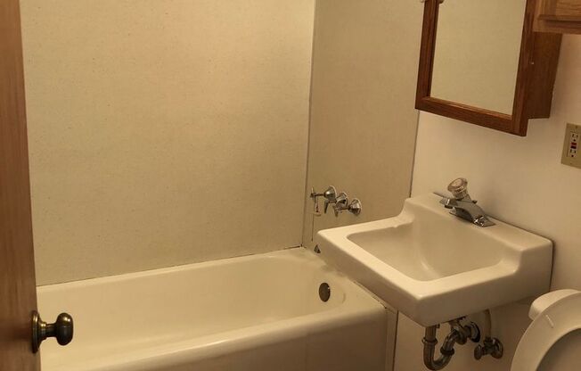 Studio, 1 bath, $1,300, Unit Unit #303